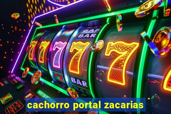 cachorro portal zacarias